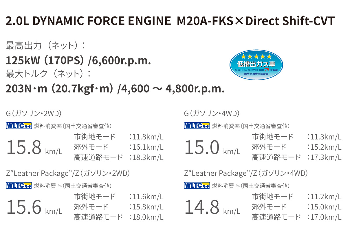 harrier_performance_img07