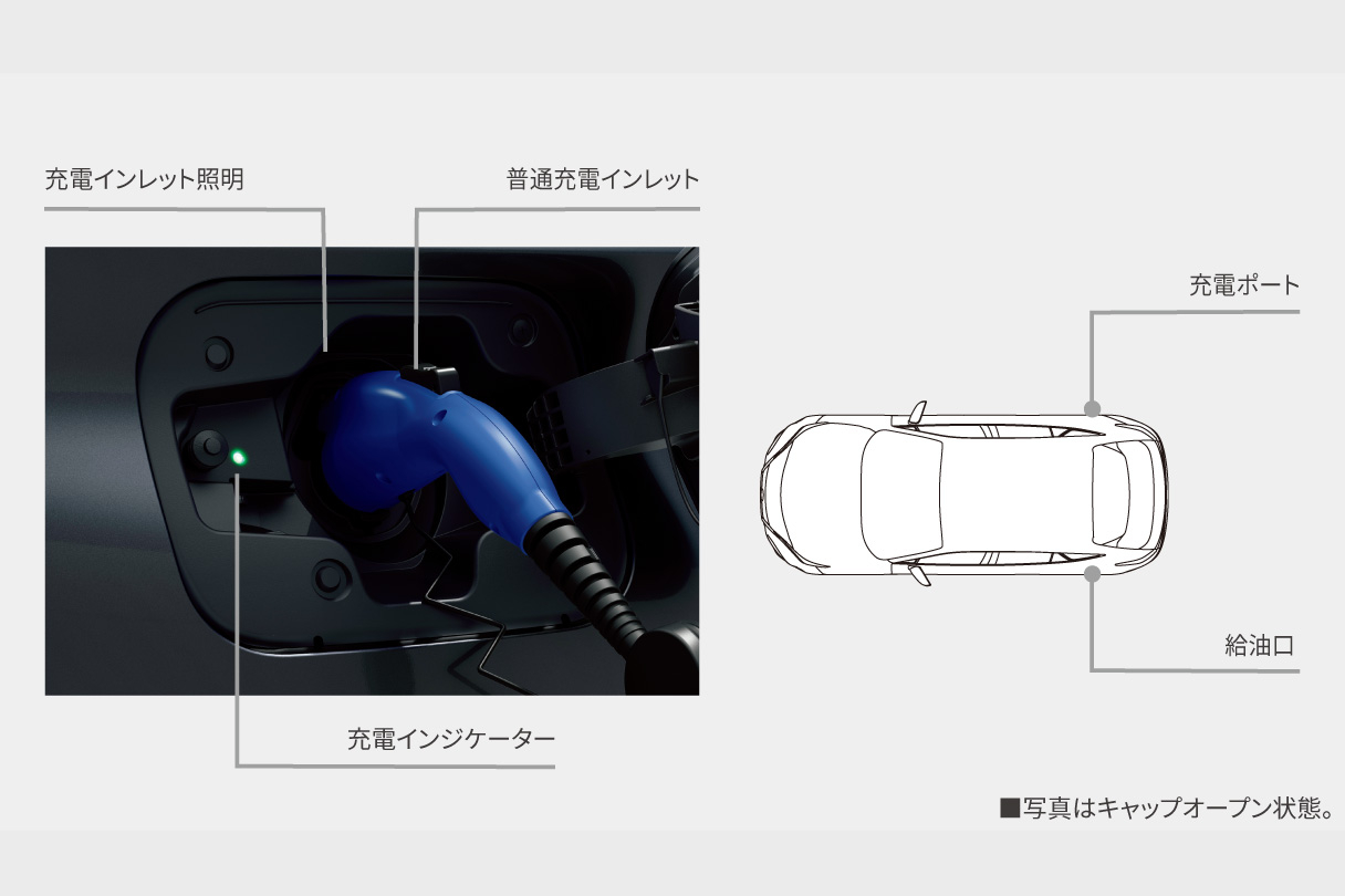harrier_performance_img16