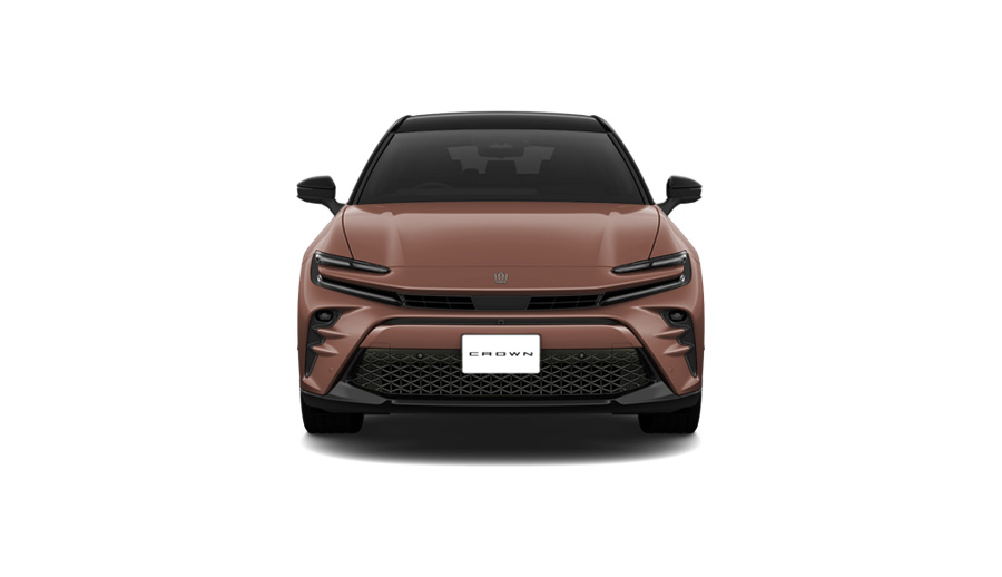 ブラック〈227〉×プレシャスブロンズ〈4Y6〉［2XZ］フロント